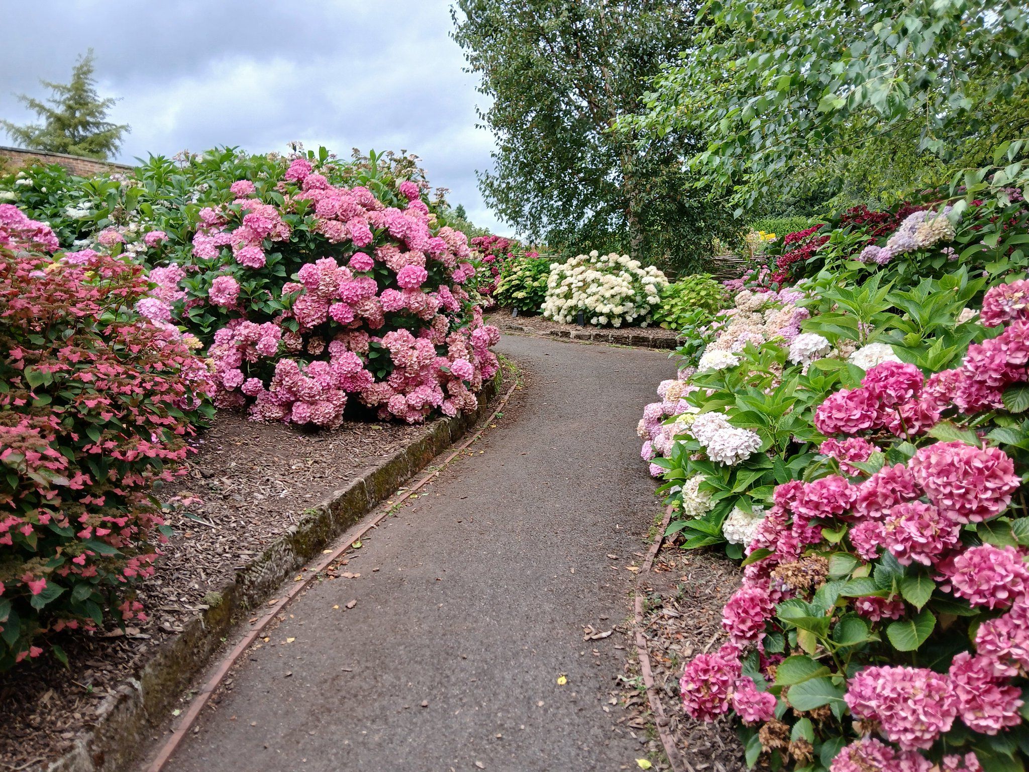 🏞️ 달리 공원(달리 파크)